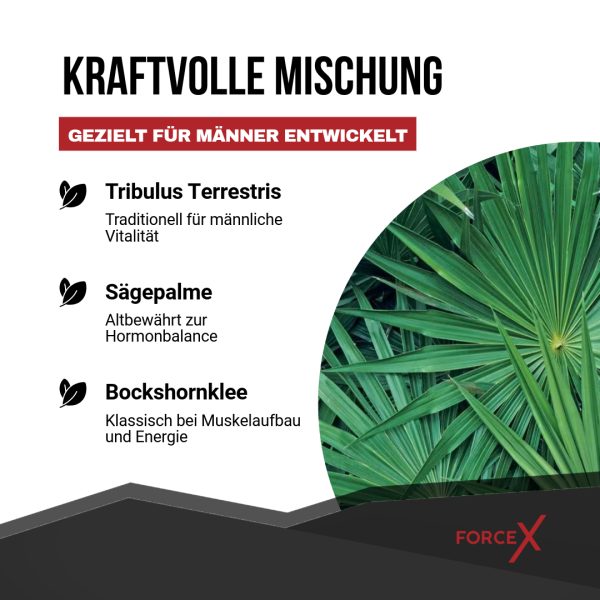 Force X Kapseln – Bild 6