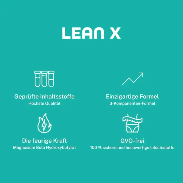 Lean X – Bild 3