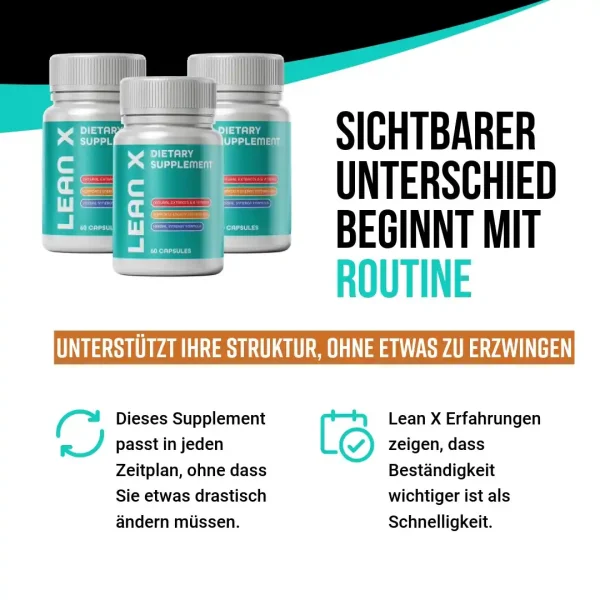 Lean X – Bild 4